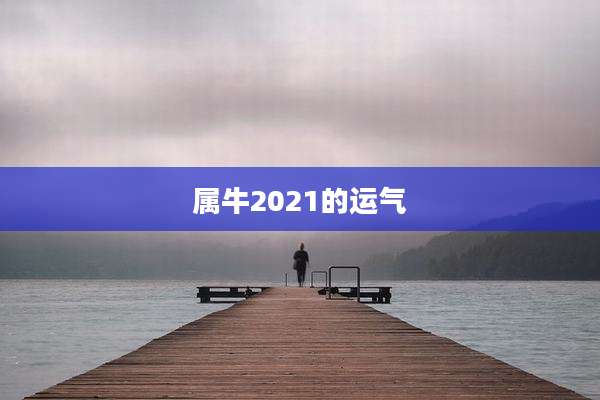 属牛2021的运气
