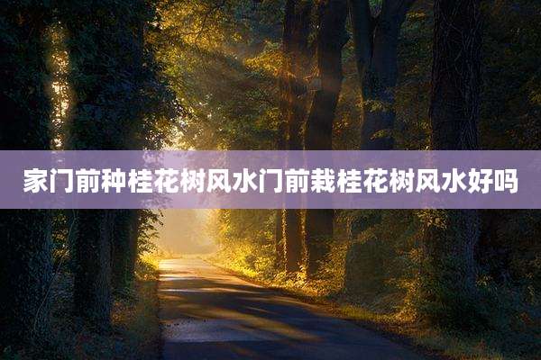 家门前种桂花树风水门前栽桂花树风水好吗