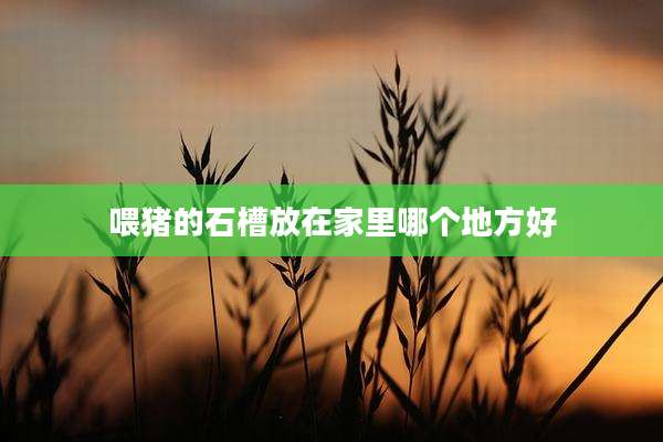 喂猪的石槽放在家里哪个地方好