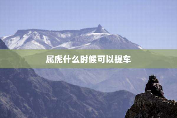 属虎什么时候可以提车