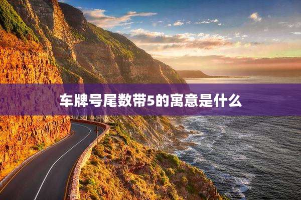 车牌号尾数带5的寓意是什么