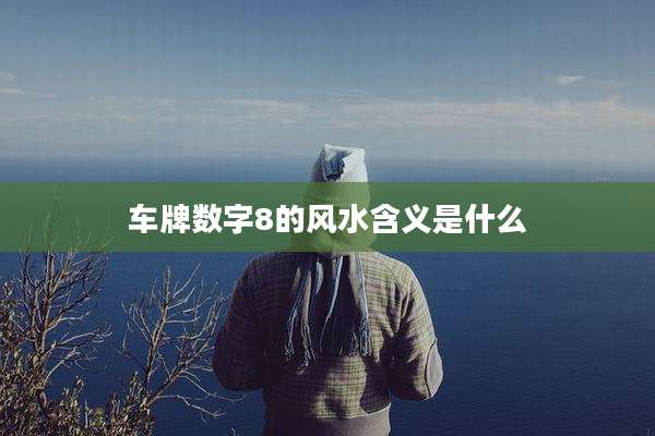 车牌数字8的风水含义是什么