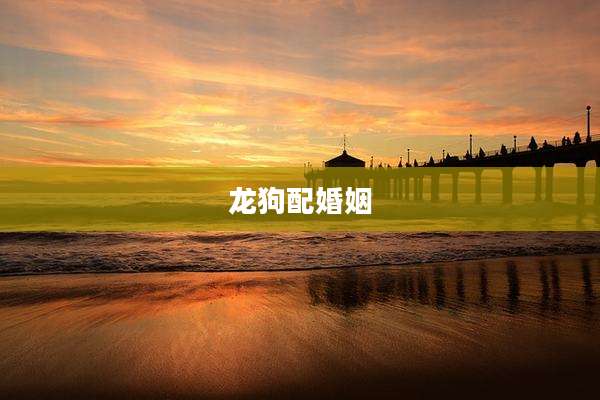 龙狗配婚姻