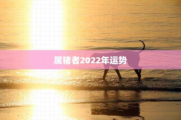 属猪者2022年运势