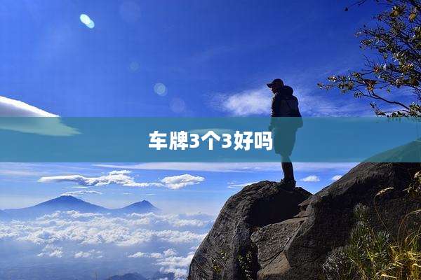 车牌3个3好吗