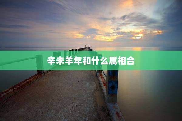 辛未羊年和什么属相合
