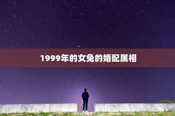 1999年的女兔的婚配属相