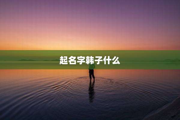 起名字韩子什么