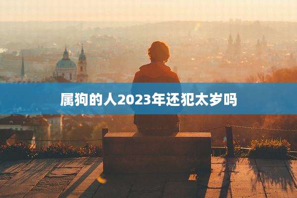 属狗的人2023年还犯太岁吗