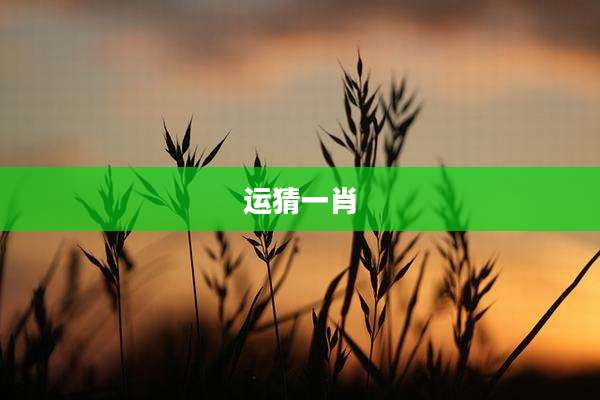 运猜一肖
