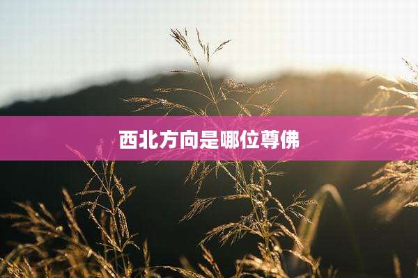 西北方向是哪位尊佛
