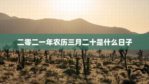 二零二一年农历三月二十是什么日子