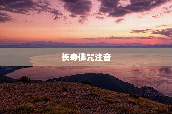 长寿佛咒注音