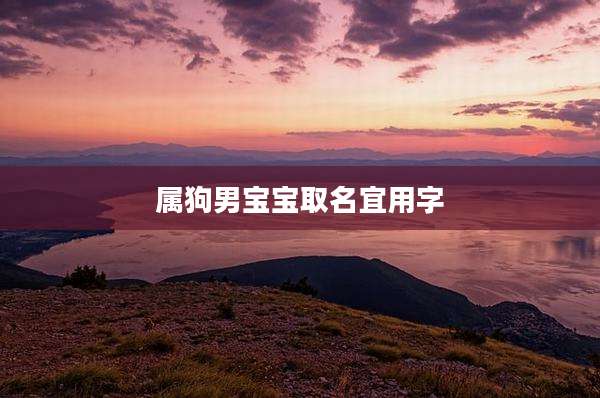 属狗男宝宝取名宜用字