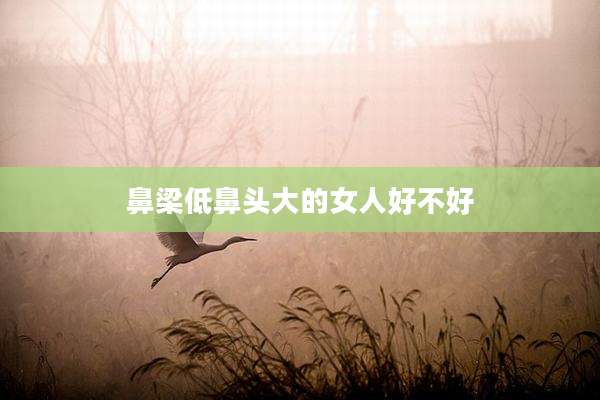 鼻梁低鼻头大的女人好不好
