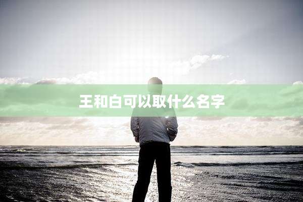 王和白可以取什么名字