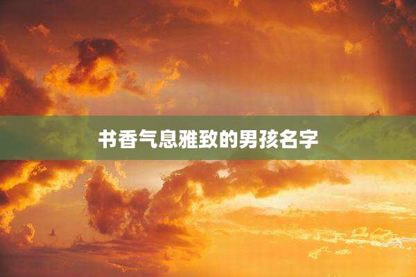 书香气息雅致的男孩名字