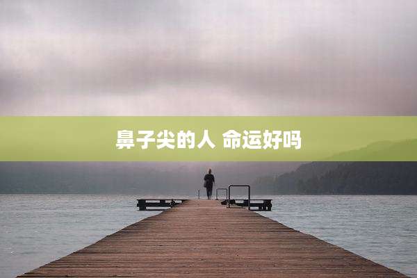 鼻子尖的人 命运好吗