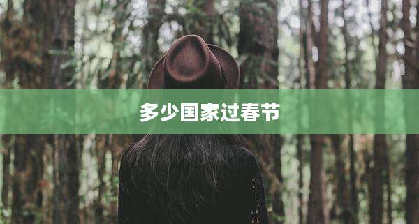 多少国家过春节
