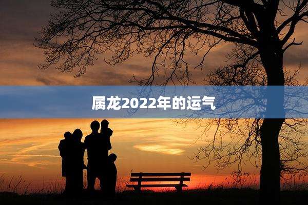 属龙2022年的运气