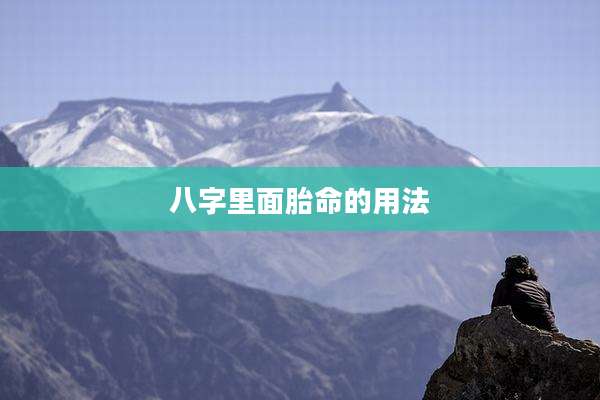 八字里面胎命的用法
