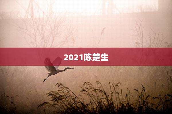 2021陈楚生