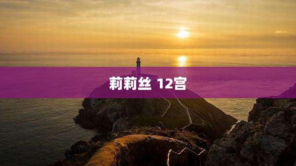 莉莉丝 12宫