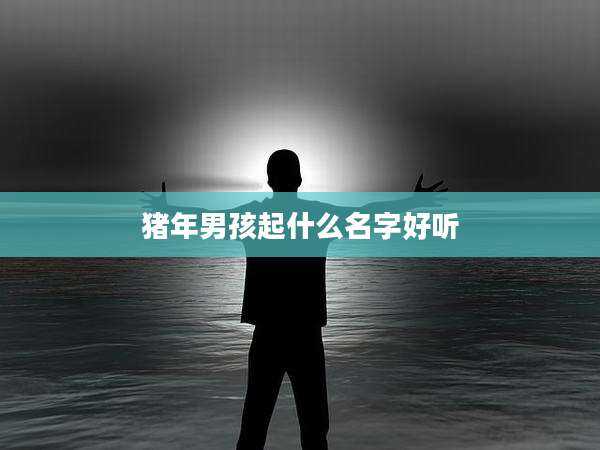 猪年男孩起什么名字好听