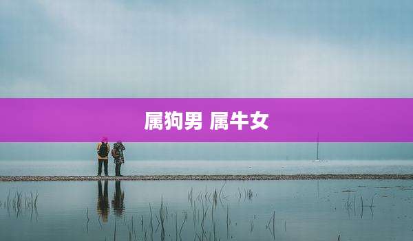 属狗男 属牛女