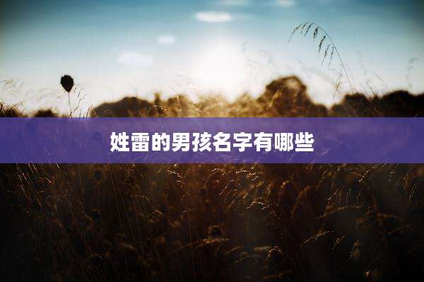姓雷的男孩名字有哪些