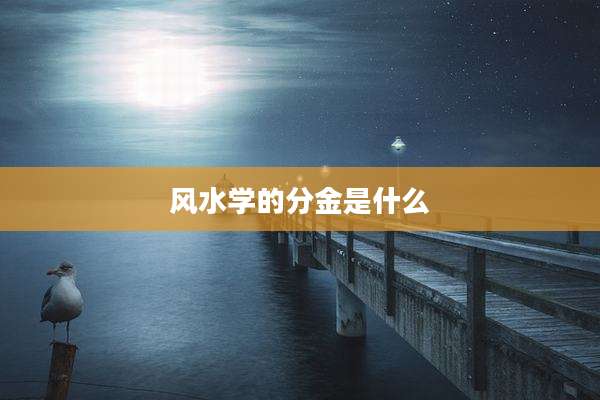 风水学的分金是什么