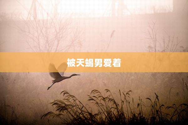 被天蝎男爱着