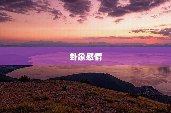 卦象感情