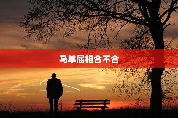 马羊属相合不合