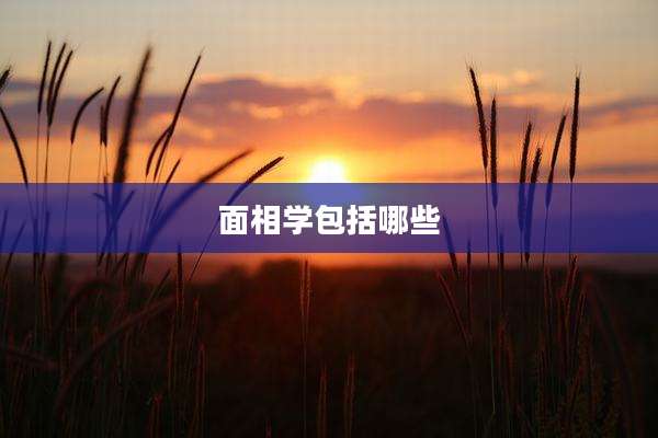 面相学包括哪些