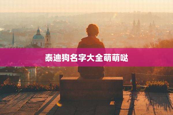泰迪狗名字大全萌萌哒