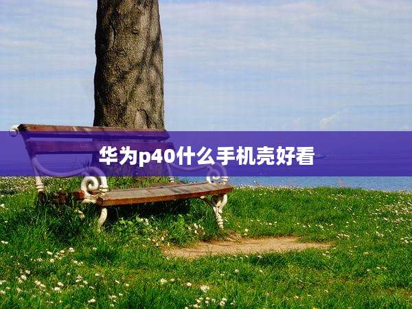 华为p40什么手机壳好看