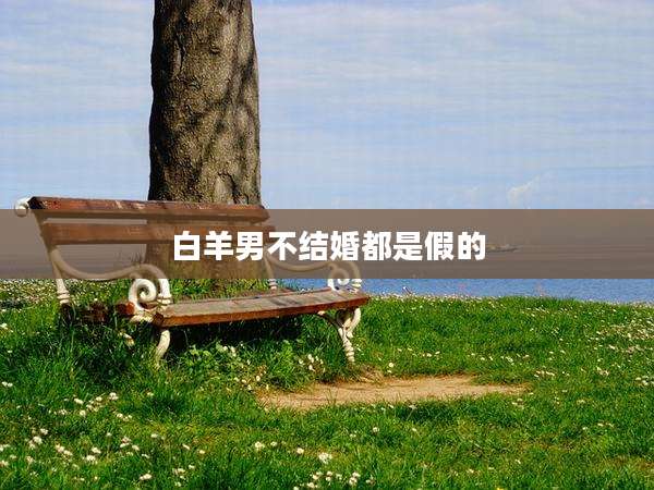 白羊男不结婚都是假的