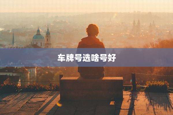 车牌号选啥号好
