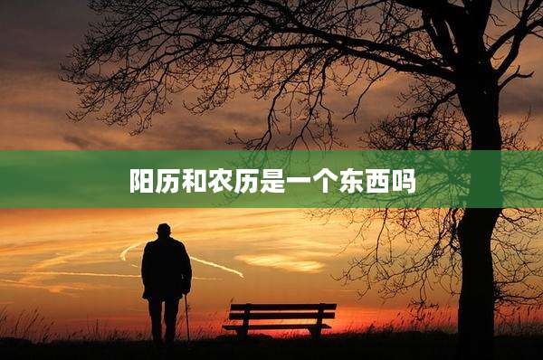 阳历和农历是一个东西吗