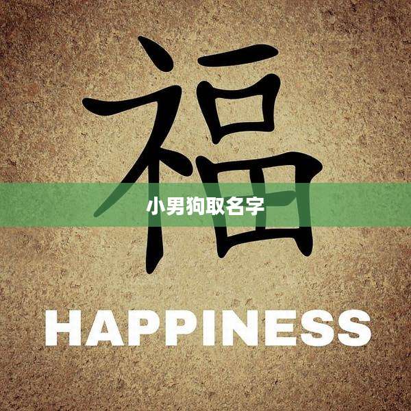 小男狗取名字