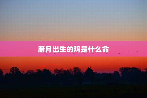 腊月出生的鸡是什么命