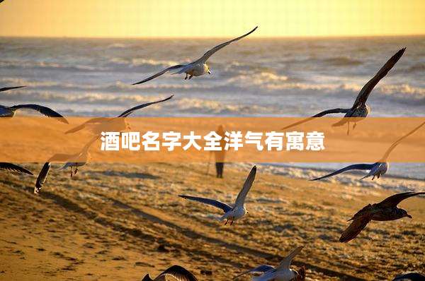酒吧名字大全洋气有寓意