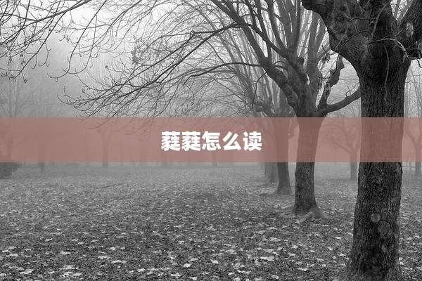 蕤蕤怎么读