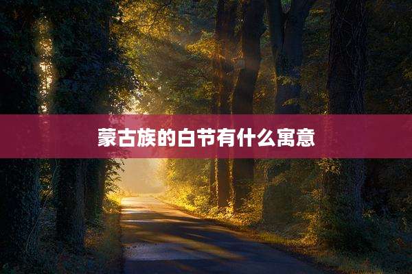 蒙古族的白节有什么寓意