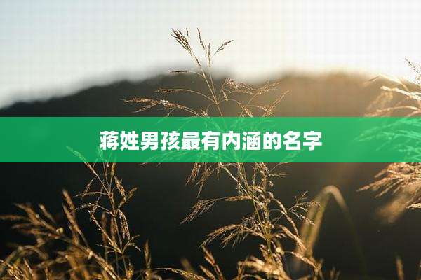 蒋姓男孩最有内涵的名字