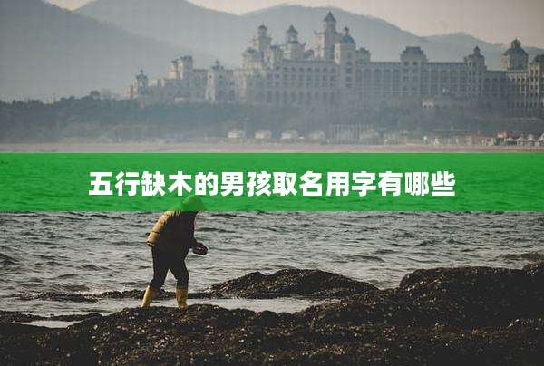 五行缺木的男孩取名用字有哪些