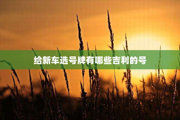 给新车选号牌有哪些吉利的号