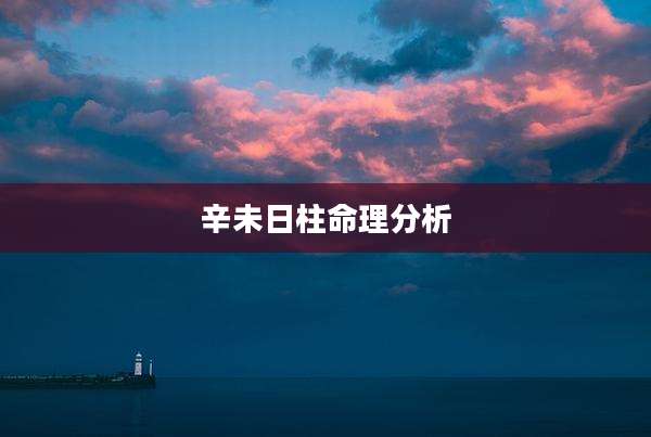 辛未日柱命理分析