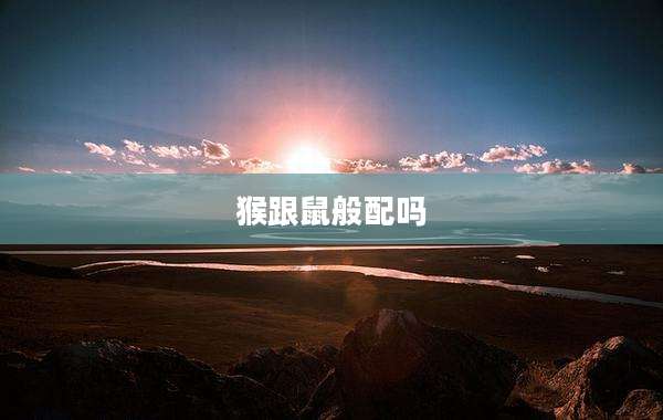 猴跟鼠般配吗